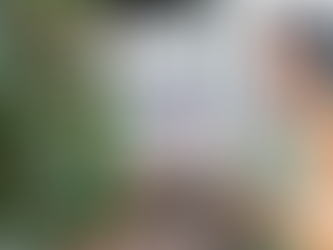 Listening to Audiobook while prepping for the holidays.