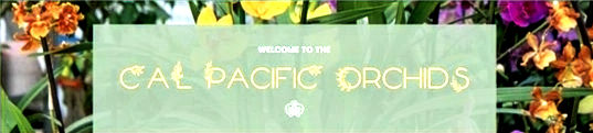 Ca Pacific orchids web page pic_edited.j