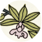 20180427 台灣花札規則書 - 中文-03.png