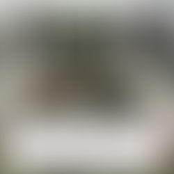 En recorridos de seguridad, el Grupo Interinstitucional asegura armamento y equipo táctico en San Ignacio