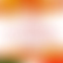 Este 22 de septiembre, recibimos una nueva estación que nos invita a la reflexión y la renovación.