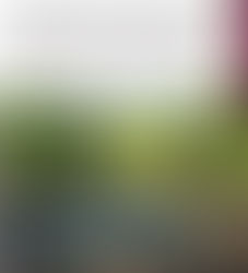 Grupo Interinstitucional asegura armas largas, decenas de cargadores y cartuchos útiles en Elota