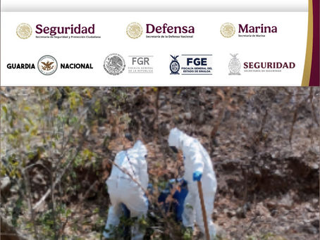 En Cosalá y Culiacán, Grupo Interinstitucional asegura 10 áreas de almacenamiento de sustancias químicas