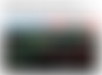 In-depth Interview by Chuck Frey from the Mind Mapping Software Blog