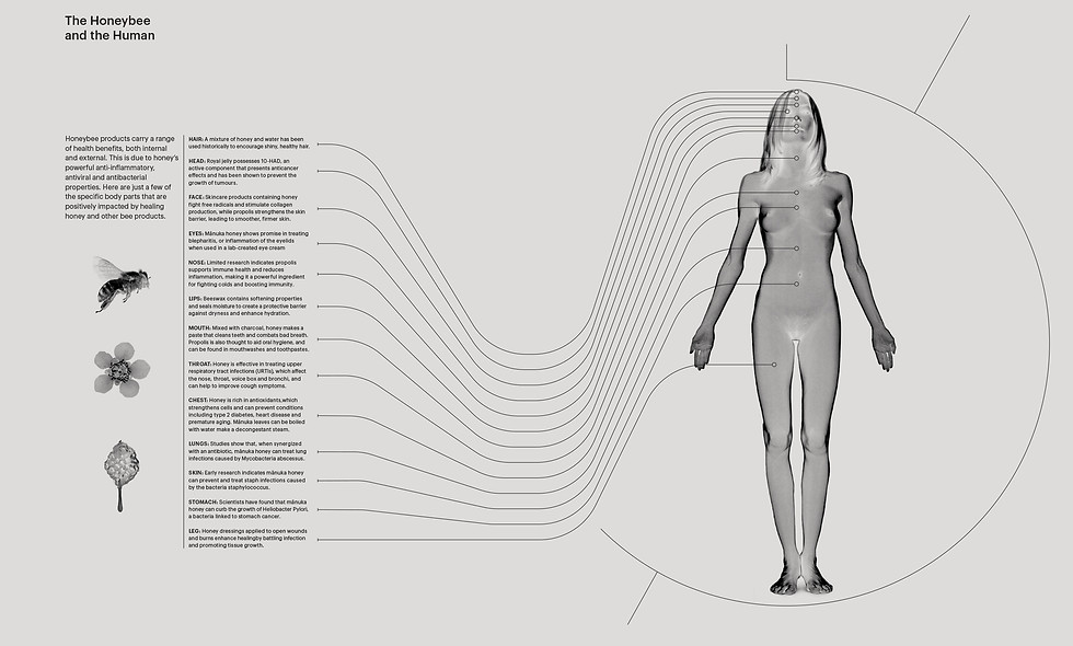 07 M&M Data Vis Human Body 4.jpg