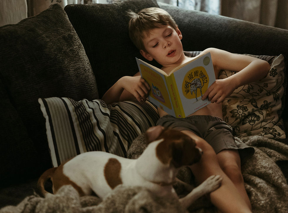 2 Dogphonics Best Boy  Dog-0-2344-0-1652.jpg