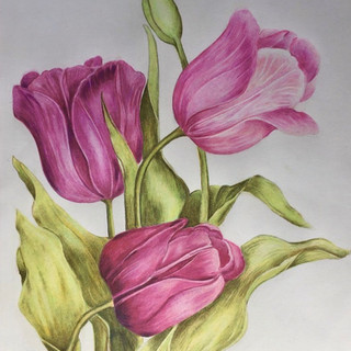 6 Ana Maria da Silva Oliveira - Tulipas