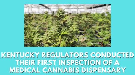 Medical Marijuana Dispensary Inspection