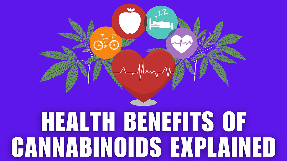 Health Benefits of Cannabinoids Explained