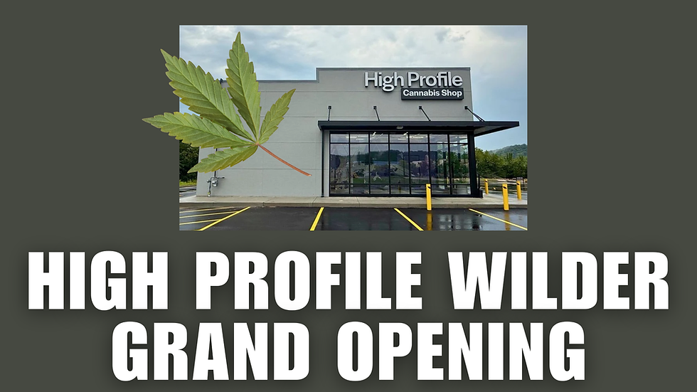 High Profile Is Now Open in Wilder: Join Kentucky Marijuana Card for a Special Patient Drive
