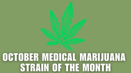 October Strain of the Month: Sour Garlic