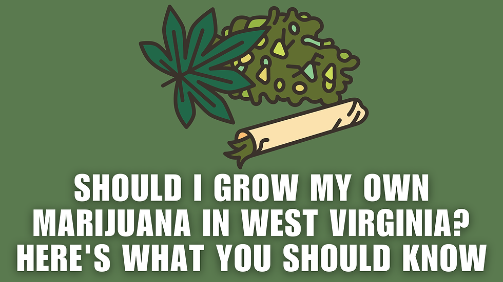 Should I Grow My Own Marijuana in West Virginia? Here's What You Should Know