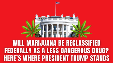 Will Marijuana Be Reclassified Federally As a Less Dangerous Drug?