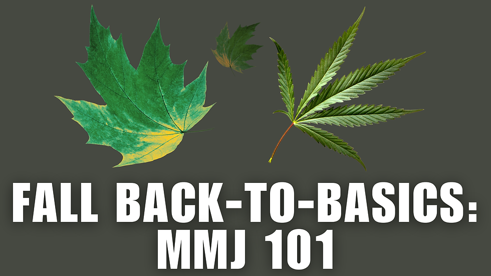 Medical Marijuana 101: A Beginner’s Guide to Medical Marijuana in Virginia