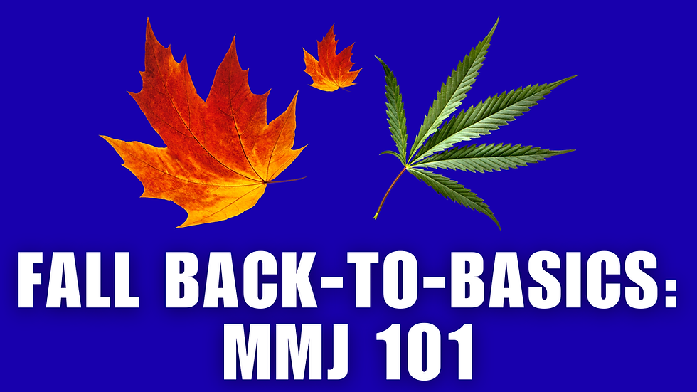 Fall Back to Basics: Your Ohio Medical Marijuana 101 Guide