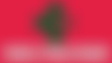 Alabama’s Medical Marijuana Program Is Moving Forward