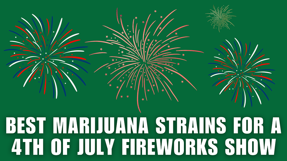 Best Marijuana Strains for Watching Fourth of July Fireworks in Ohio