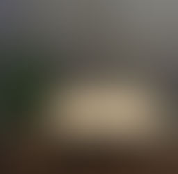 New Entry Art Reveal