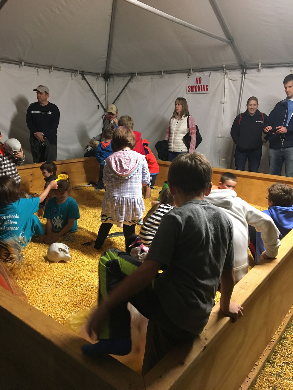 Diggin in the Corn