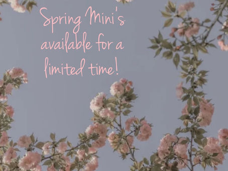 Spring Mini Sessions; Fast, affordable and fun!