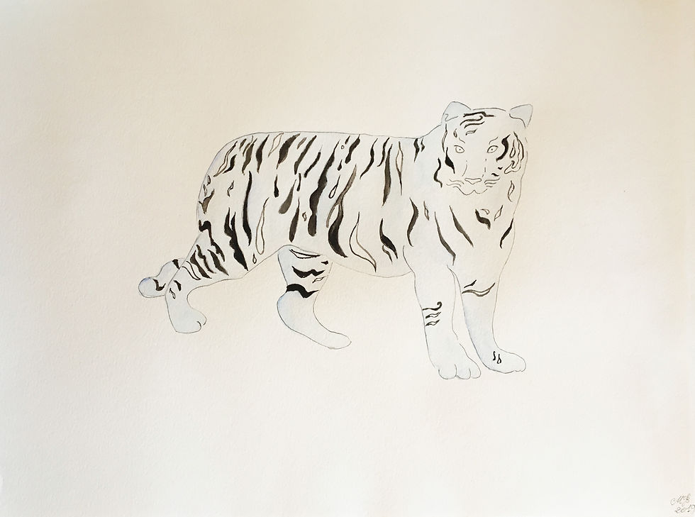 Tiger 2
