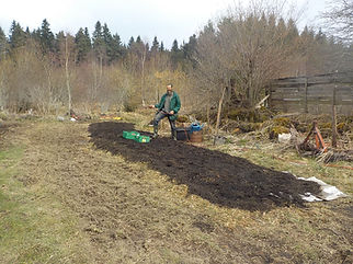 DSCN1337.JPG