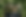 Header_Pfad.png