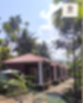 MyImage-1777633743-11.jpg.jpeg