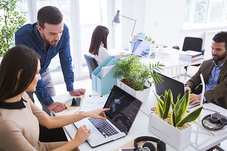 providing regulatory advice