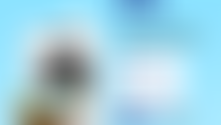 نحن هنا لمساعدتك 01062755115