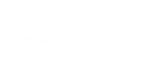 Desert Lens Studio Logo