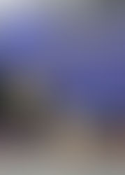 Поздравляем!!! HONEY VIEW TALISSA STARK - Юный чемпион республики МАКЕДОНИЯ!