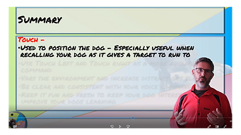 Basic Obedience slides (2).png