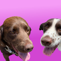 Pebbles and Bam Bam