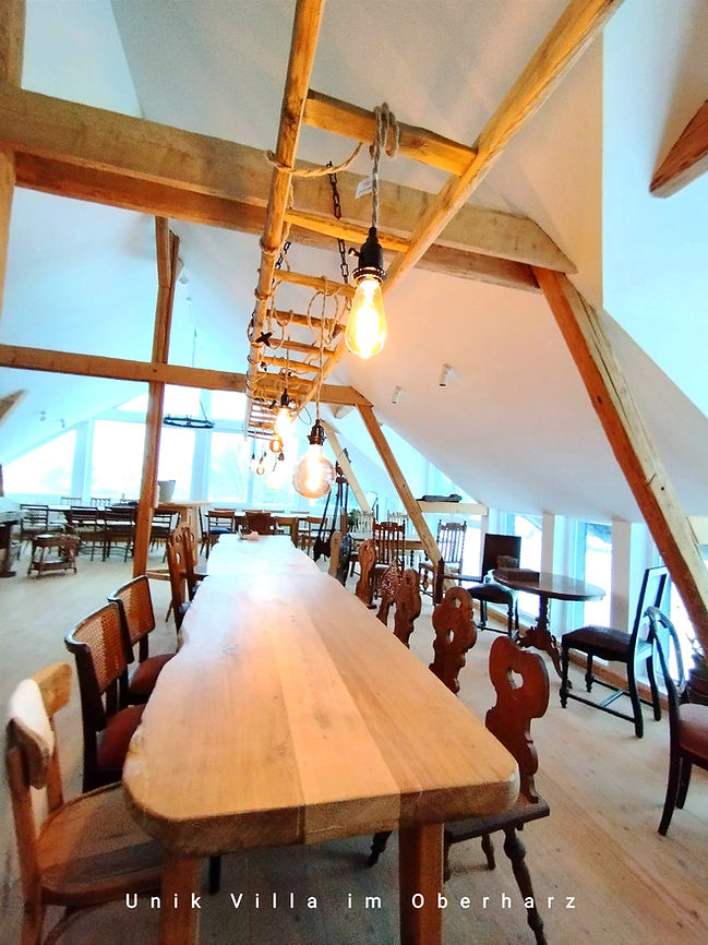 Resime Unik Villa im Oberharz