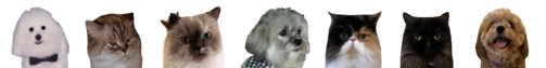 original.png
