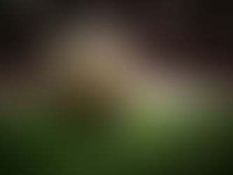 Kicking it into FIFA Futsal