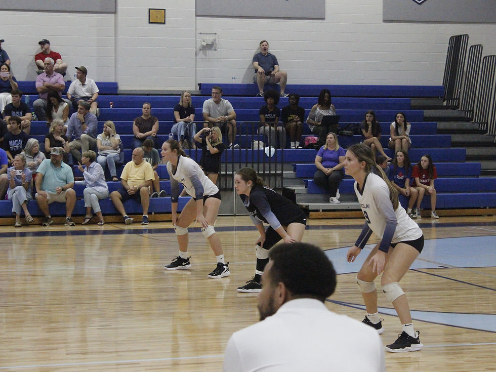 Photo by Jace Wright / Maclay Andalusian