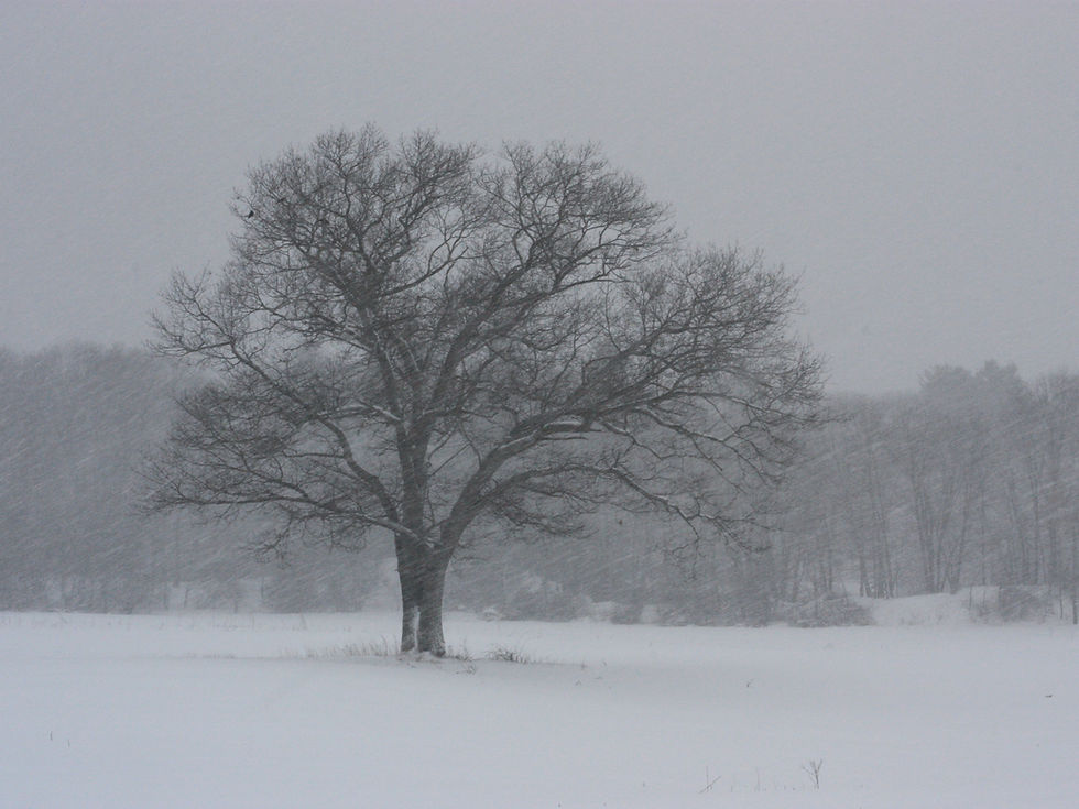 Photo by Keith Polischuk on Unsplash