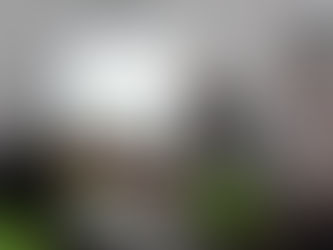 A Glance Into the Future