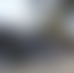 A Great Start To The Day