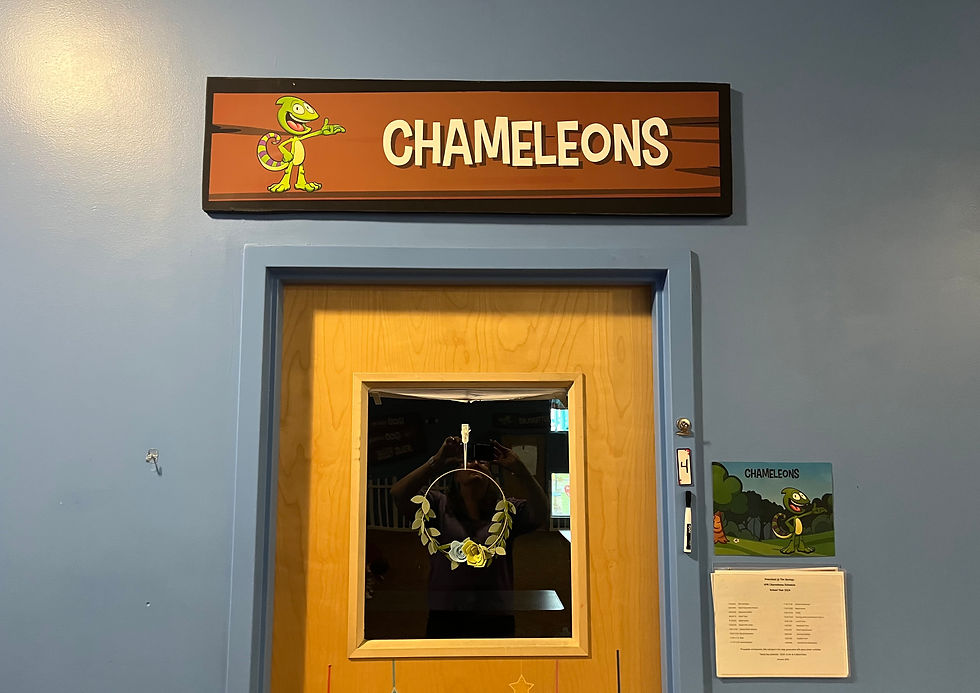 Chameleons