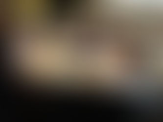 Sensational Spaniels!