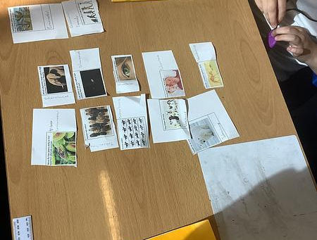 Photo of work on a table