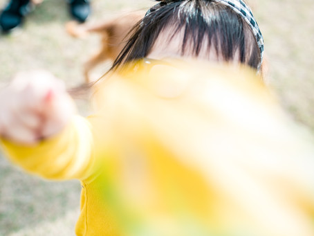 ご予約状況。2019年。