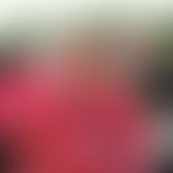 Thank you to Jules, our Virtual London Marathon Runner