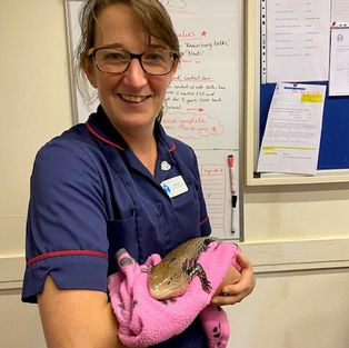 Spotlight on... Jade, Hospice at Home Nurse Lead