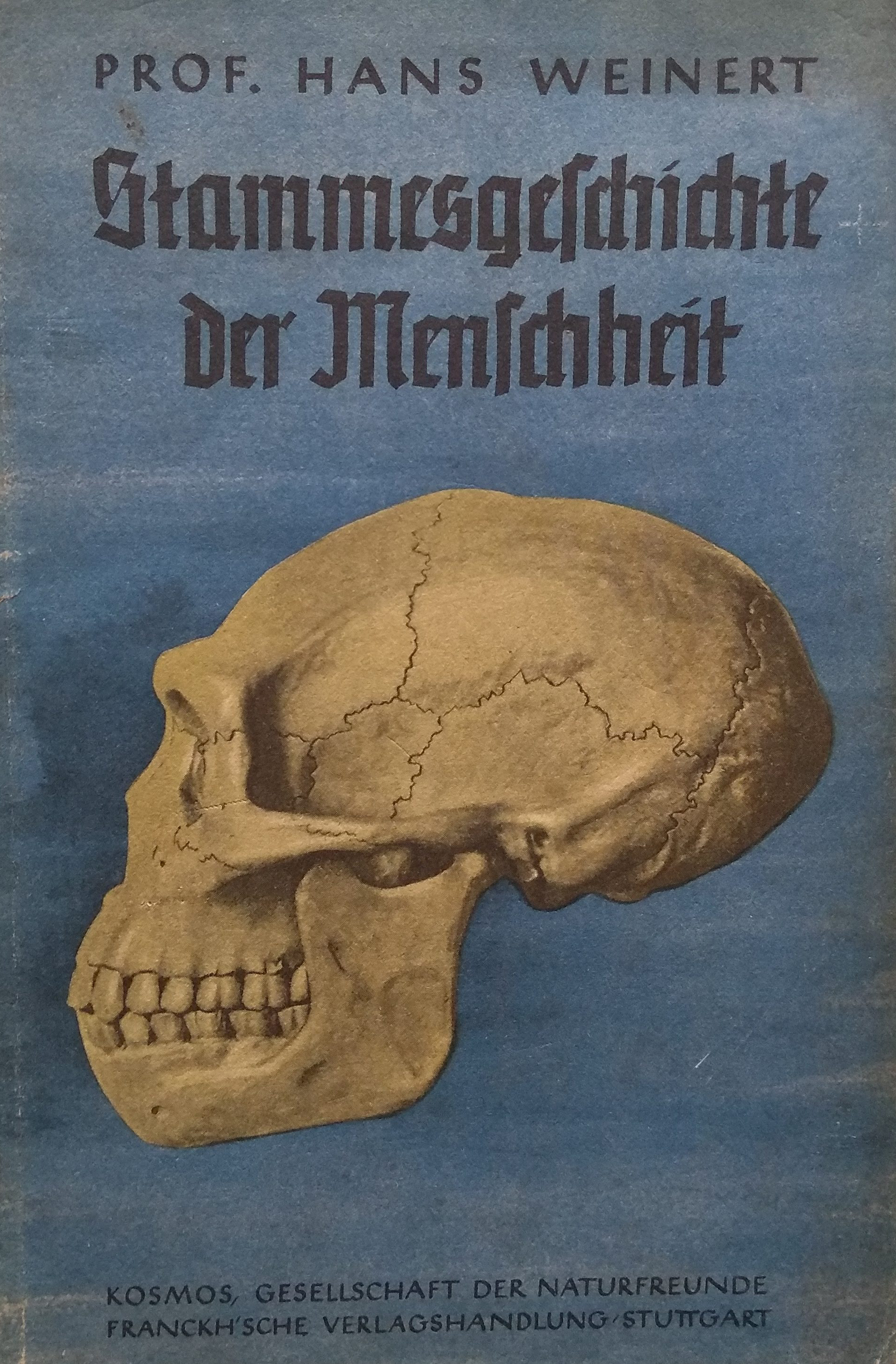 Stammesgeschichte der Menschheit
