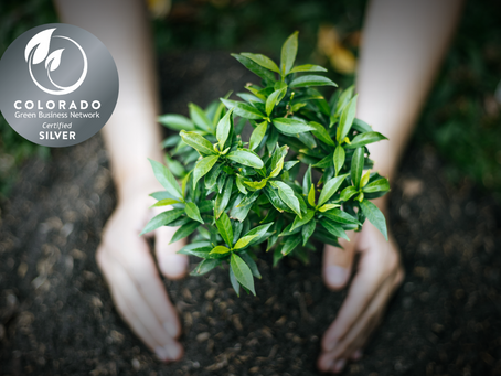 Being Sustainable in a Wasteful Industry