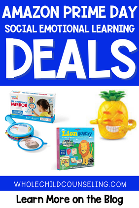 Amazon Prime Day 2024 Counselor and Teacher Social Emotional Learning SEL Top Deals